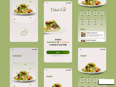 Calcul-Eat - A comprehensive app which helps users in analyzing appdesign design designertool designertools figma illustration logo ui uidesigner