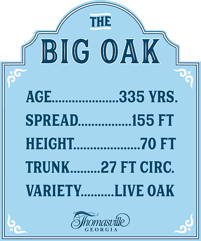 The Big Oak in Thomasville, GA design historic nature sign street tree urban