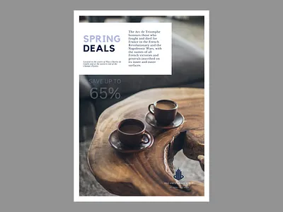 Promotional Flyer Design branding design flyer design graphic design illustration logo marketing flyer marketing flyer design promotional flyer design real estate flyer real estate flyer design typography vector