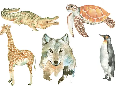 watercolor animals custom by febri animal design illustration vector