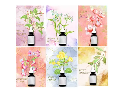 flower design for aroma theraphy product design flower illustration vector watercolor