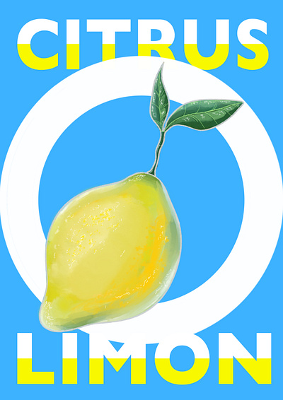 Citrus limon design digitalart graphic design illustration