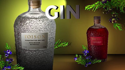 Gin animation branding graphic design motion graphics ui