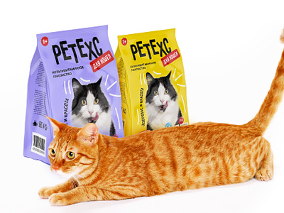 Petexc - Feed Packaging Design branding cat feed packaging graphic design kite kat kyrgyzstan logo whiscas корм кошка