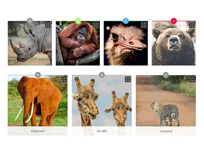 Design Execution & Collaborative Project Delivery Across Diverse branding business cards graphic design illustrative graphics image editing professional design services qa collaboration ui