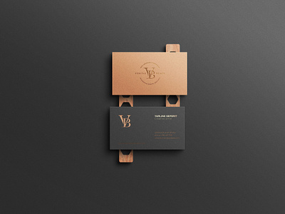 Business card design for Veritas Beach brandign business cards classy lux print visual identity