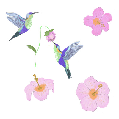 Hummingbird dance design flower art illustration kids illustration pattern illustration procreate