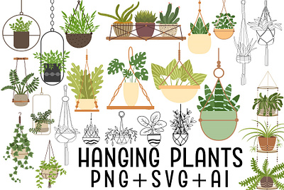 Hanging Plants Clipart hand drawn clip art hanging plant hanging plants hanging plants art hanging succulents plant illustrations plants clip art sublimation design