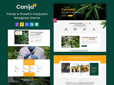 Canija - Marijuana & Cannabis Dispensary WordPress Theme business design ecommerce design graphic design illustration logo responsive responsive design weed woocommerce wordpress development wordpress theme