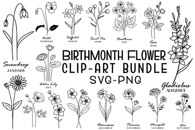 Birth Month Svg Bundle botanical flower botanical illustration botanical vector floral birthday floral bundle floral clipart floral illustration flower bundle flower illustration illustratorannie