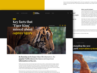 UI Article page: Clean and minimalistic Interface for NatGeo article clean figma graphic design grid layout minimal natgeo tiger typography ui uidesign ux web website