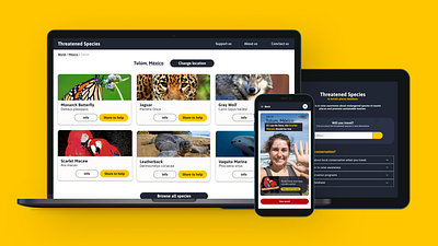 Threatened Species adobe xd app figma ui ux website