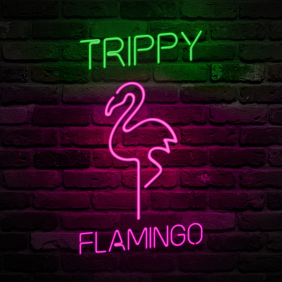 Flamingo Neon Animation after effects animation glow logo motion design motion graphics neon neon sign retro