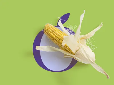 Dr. Omneya ElSharkawy brand brand and identity branding design identity identity branding illustration logo ui vector