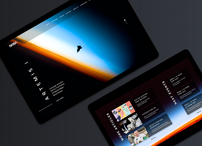 Nasa Redesign ui web design