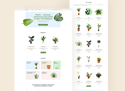 Online store for house plants design e commerce figma onlinestore store tilda webdesign website вебдизайн дизайнсайтов