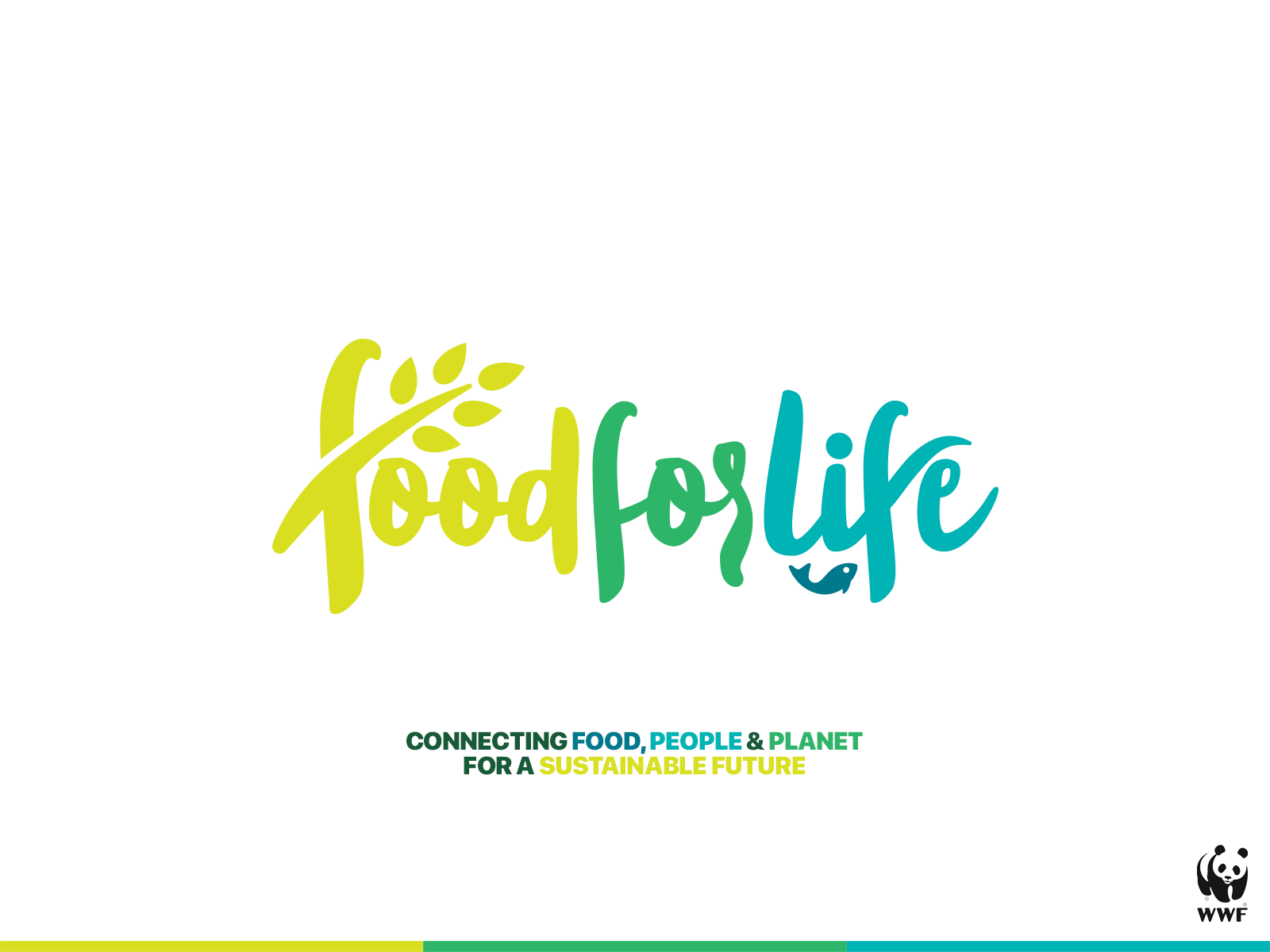 Example of Logo Design And Branding