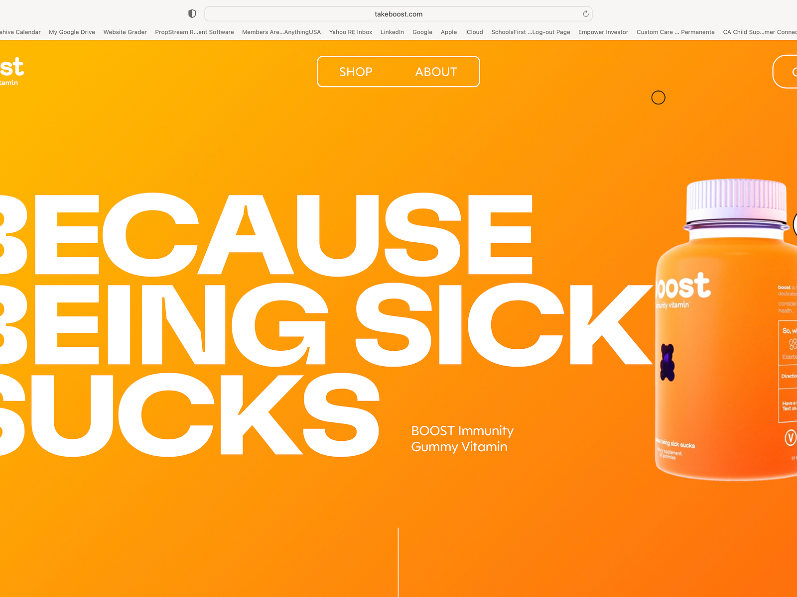 take-boost-website-by-pricilla-dawson-client-success-director