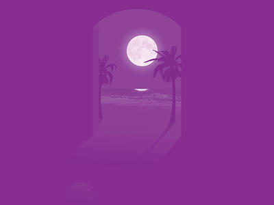 silhouette 🌴 after effects beach beat collage illustrator lofi loop mixed media moon motion music ocean palm tree purple reflection seagull silhouette vibe wind