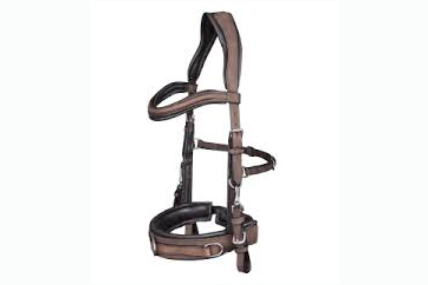 HORSE EQUIPMENT | HORSE ACCESSORIES | EQUESTRIAN EQUIPMENT by Rajendra ...