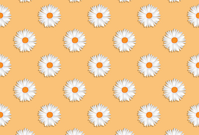 oxeye daisy seamless pattern daisy flower pattern seamless pattern white daisy