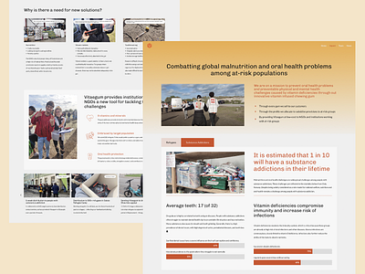 Vitaegum Impact Website humanitarianism impact ngo website yellow