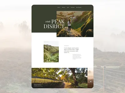 Travel Website Concept design travel ui web design website