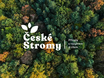 České Stromy branding design graphic design illustration logo typography visual identity