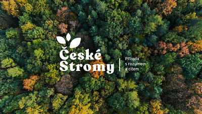 České Stromy branding design graphic design illustration logo typography visual identity