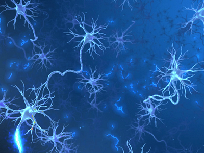 Neurons 3d after effects animation biology brain motion graphics neurons science