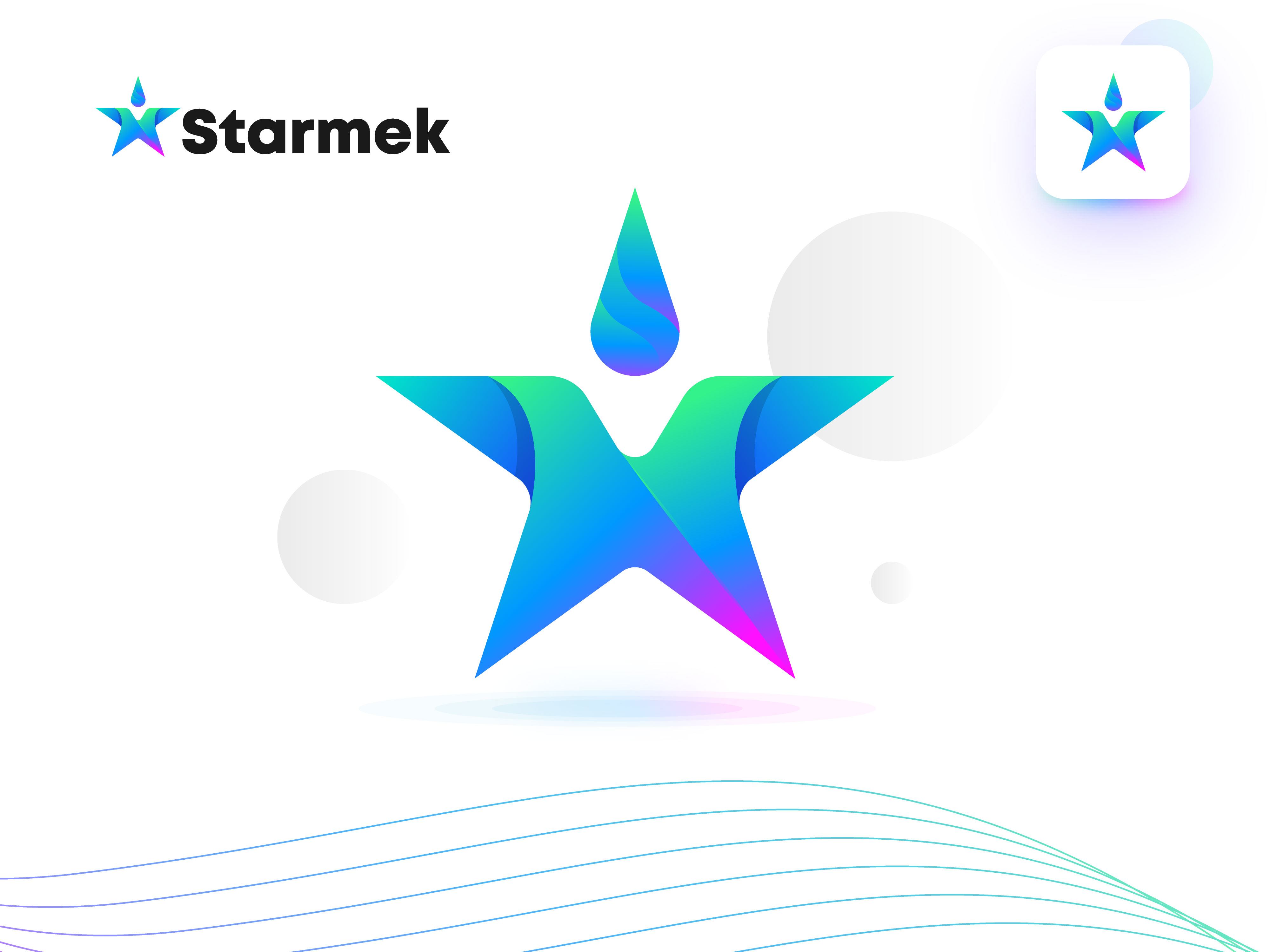 Star Logo Design designs, themes, templates and downloadable graphic  elements on Dribbble