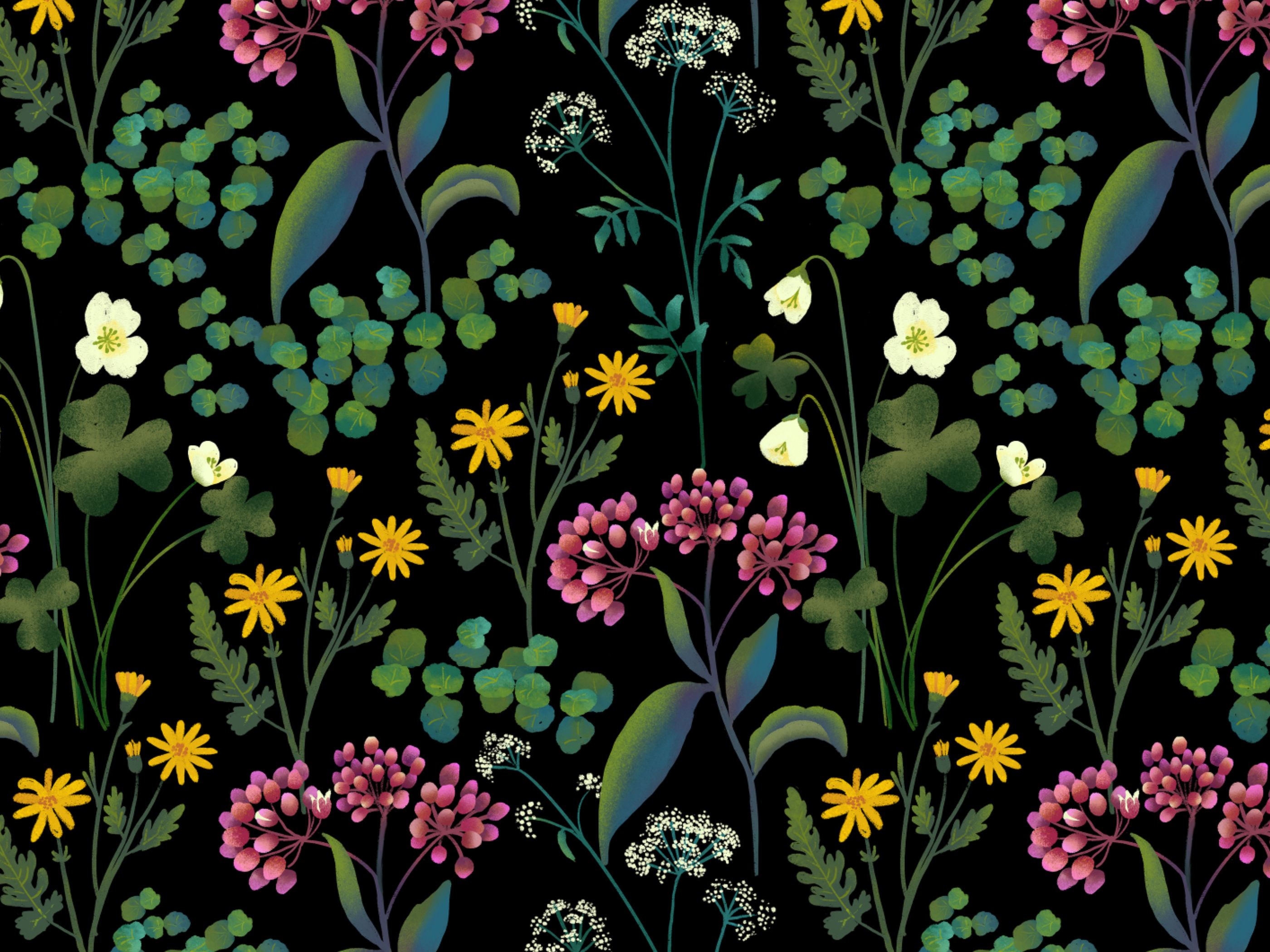 wildflower meadow floral illustration pattern procreate