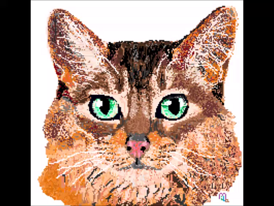 Gato somalí animation design dibujo drawing illustration paint