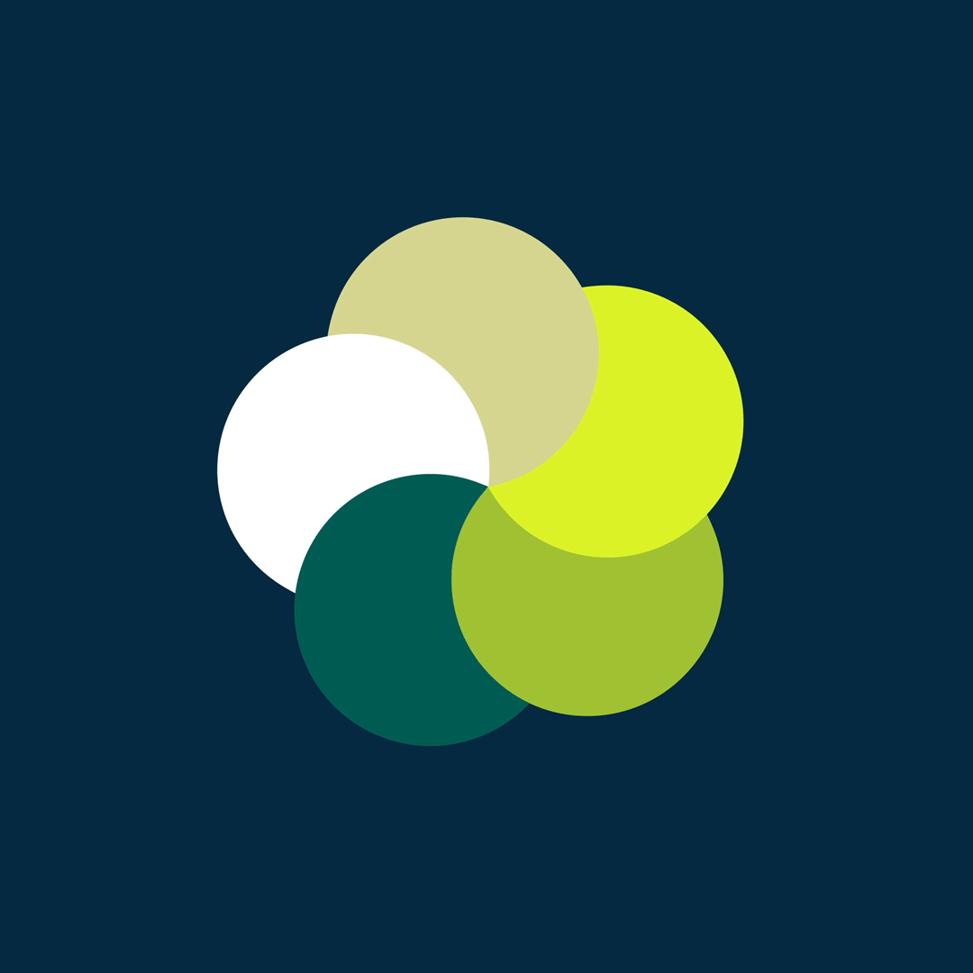 More simple shapes aftereffects animation gif motion design smear