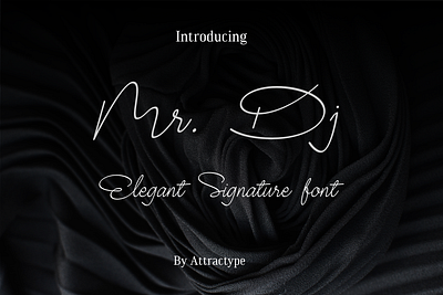 Mr DJ Signature Font branding cafe calligraphy coffe dinamic elegant engraving fonts front laser laser cut ligature mart neon script shop signature signature font swash vector