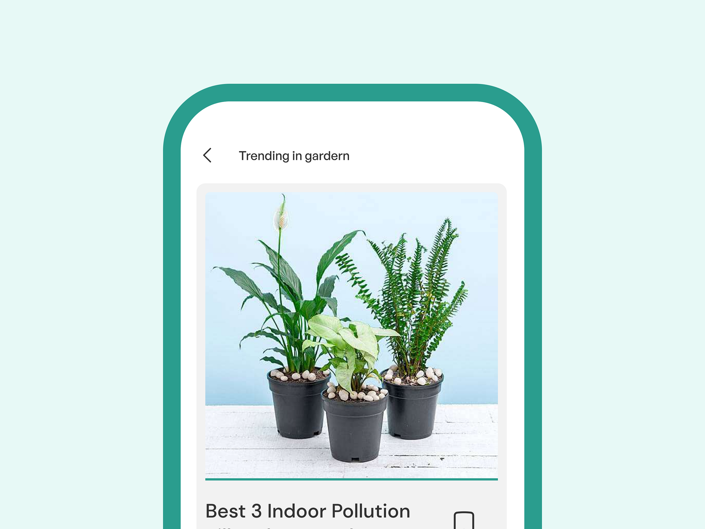 plant-shopping-app-interface-by-rohit-patel-on-dribbble