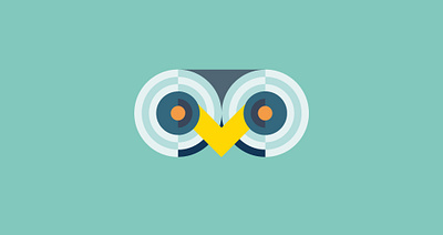 Holy owl ! 🦉 2023 adobe illustrator animal animals bird colors design geometric graphic design night owl vector