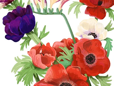 Poppy Anemone anemone british charcol creme digital art digital drawing illustration leaf leaves plants poppy purple red flower seeds spring stems vase