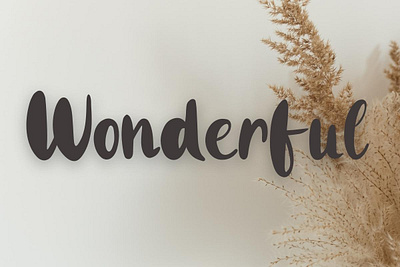 Wonderful branding design font graphic design handwritten