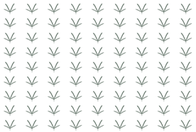 Cozy home patterns/Spruce botanical design graphic design illustration pattern plant spruce vector