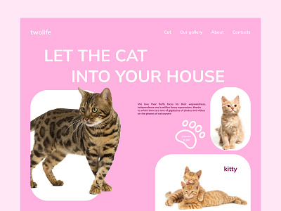 Cat House design