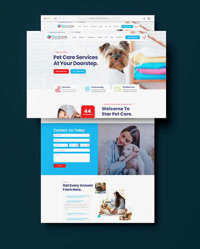 Petcare Shop branding design graphic design ui ux web