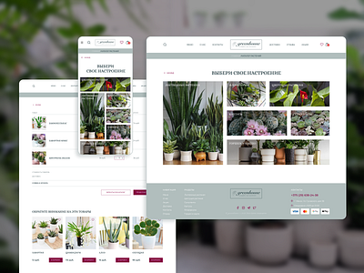 Indoor plants concept concept design flowers houseplants indor main screen online store ui ux webdesign главный экран интернет магазин комнатные растения