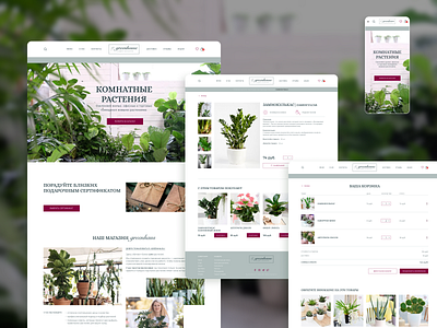 Indoor plants concept concept design flowers houseplants main screen online store ui ux web design главный экран дизайн концепт интернет магазин карточка товара корзина цветы