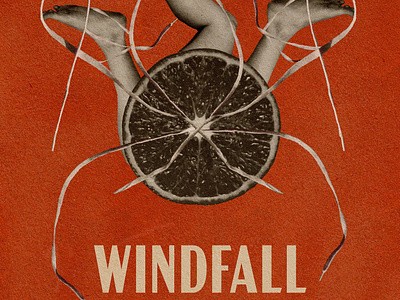 Windfall (film poster) cinema poster collage collage art design digital collage digital illustration film poster graphic design illustration movie poster netflix netflix poster polish designer polski plakat poster poster design