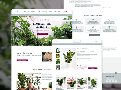 Indoor plants concept. Online store. concept design flowers houseplants main screen online store ui ux web design главный экран интернет магазин карточка товара комнатные растения концепт главного экрана прототип