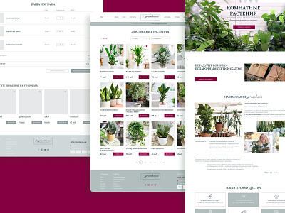 Indoor plants concept. Online store. concept design flowers houseplants main screen online store ui ux web design главная страница интернет магазин каталог комнатные растения прототип цветы