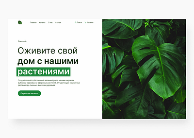 Plant Shop design figma minimal ui ux web website