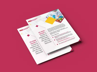 FLYER DESIGN for Arizona State University brochure design flyer graphic design india