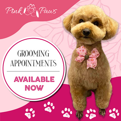 Pink Paws Social Media Posts adobe illustrator animal branding cute design dog fun graphic design pet pink shop social media testimonial vector